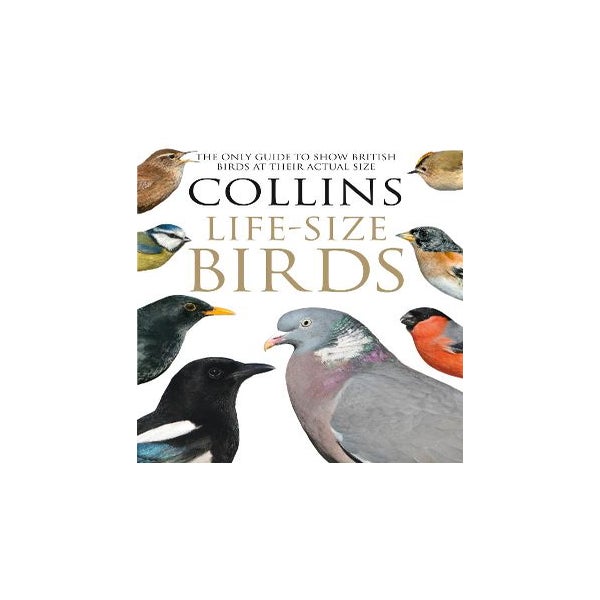 Collins Life-Size Birds -