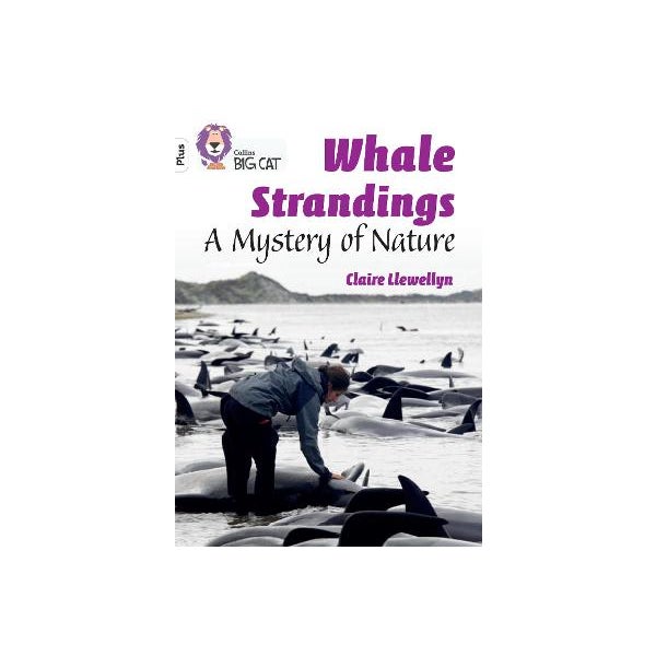 Whale Strandings: A Mystery of Nature -
