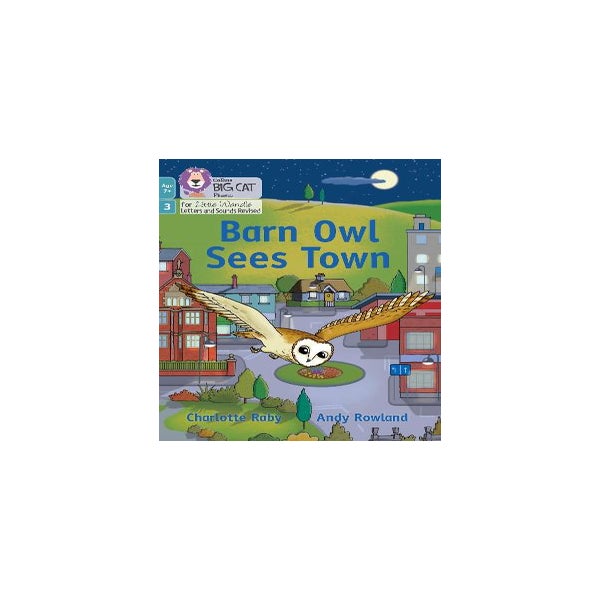 Barn Owl Sees Town -