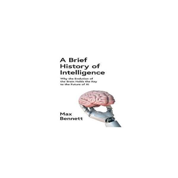 GREY MATTERS A BRIEF HISTORY OF BRAINS -