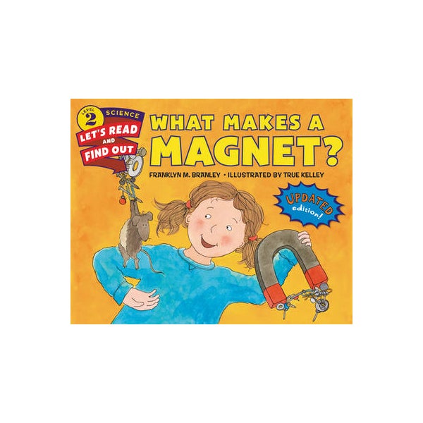 What Makes a Magnet? -