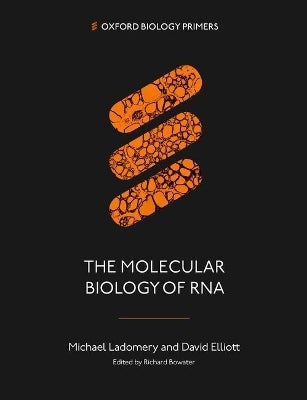 Molecular Biology of RNA by Michael Ladomery, David Elliott | Paper Plus