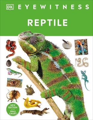 Reptile by Colin McCarthy | Paper Plus