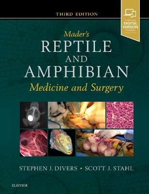 Mader's Reptile and Amphibian Medicine and Surgery by | Paper Plus