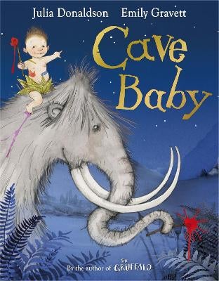 Julia donaldson cave store baby