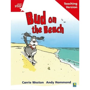 Rigby Star Phonic Guided Reading Red Level: Bud on the Beach Teaching ...