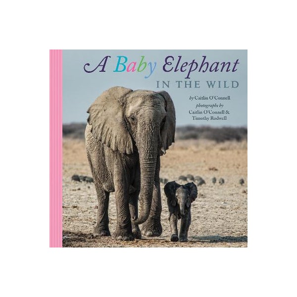 Baby Elephant in the Wild -