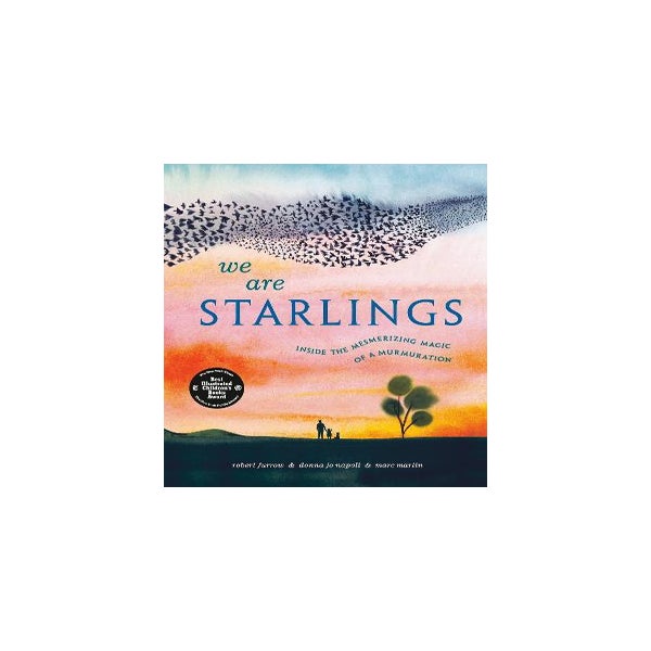 We Are Starlings -