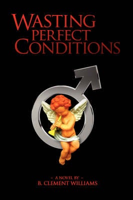 Wasting Perfect Conditions by B Clement Williams | Paper Plus