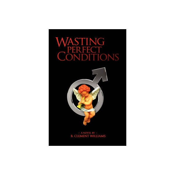 Wasting Perfect Conditions by B Clement Williams | Paper Plus