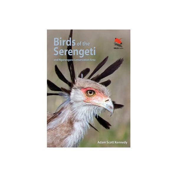 Birds of the Serengeti -
