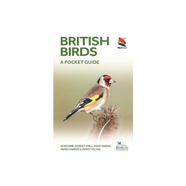 British Birds -