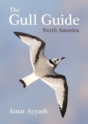 The Gull Guide by Amar Ayyash | Paper Plus