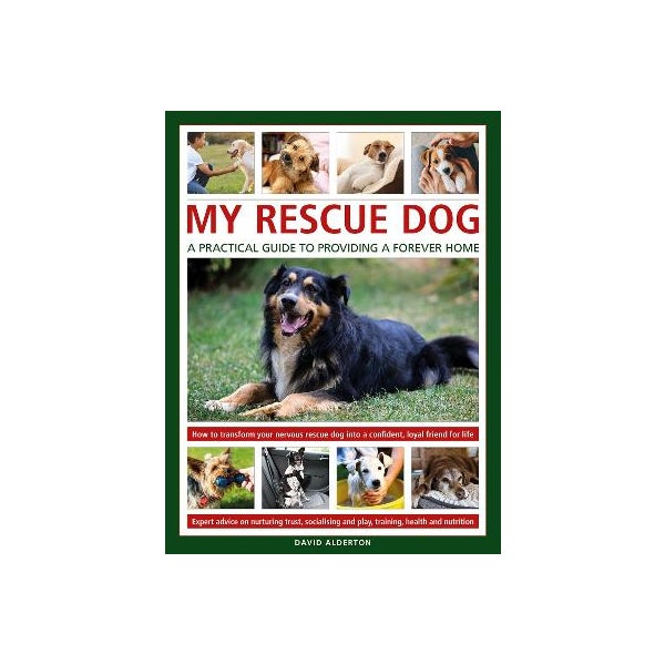 Foster Homes Forever Pet Rescue Adoption Kits A Better Life Dog