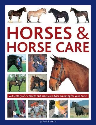 Horses & Horse Care by Judith Draper | Paper Plus