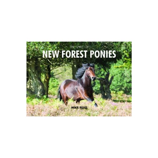 The Spirit of New Forest Ponies -