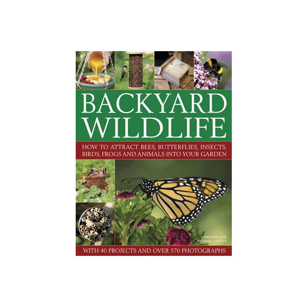 Backyard Wildlife -