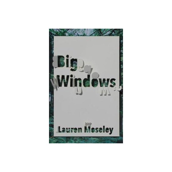 Big Windows -