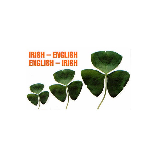 Irish-English, English-Irish Dictionary -