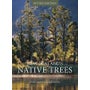 New Zealand's Native Trees -