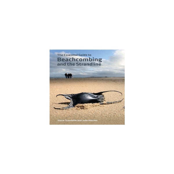 The Essential Guide to Beachcombing and the Strandline -