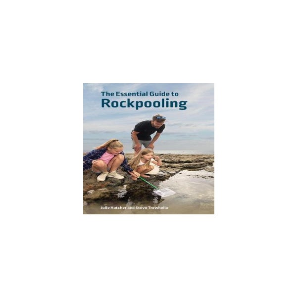 The Essential Guide to Rockpooling -