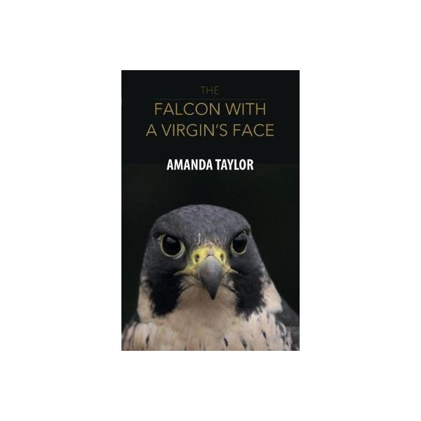 The Falcon with a Virgin's Face -