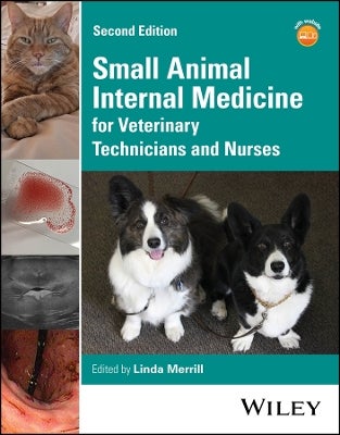 ぺ*こ様 Small Animal Internal Medicine 第6版 Small Animal Internal Medicine 6月号 【公式通販】