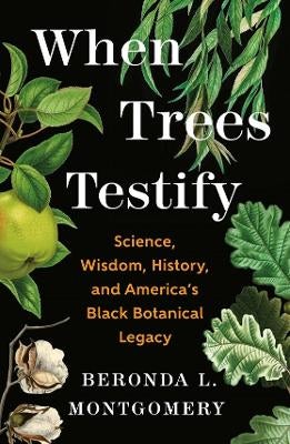 When Trees Testify by Beronda L. Montgomery | Paper Plus