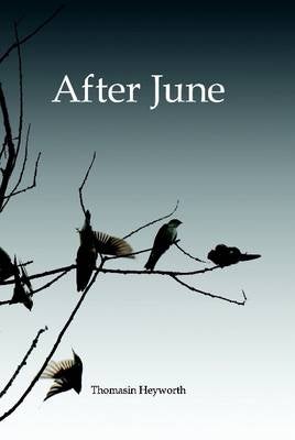After June by Thomasin Heyworth | Paper Plus