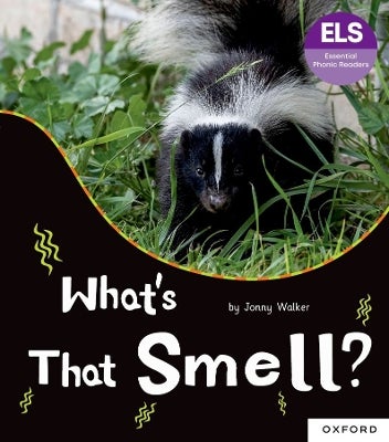 Essential Letters and Sounds: Essential Phonic Readers: Oxford Reading ...