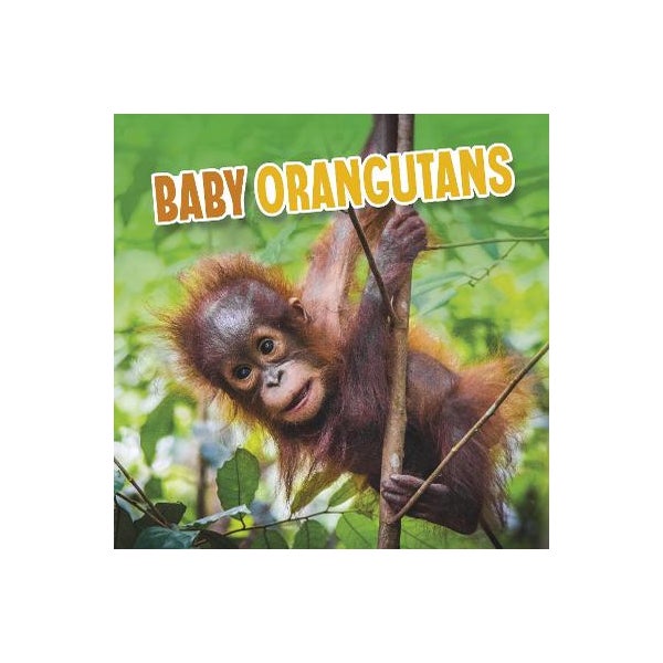 Baby Orangutans -