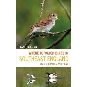 Where to Watch Birds in Southeast England by David Callahan