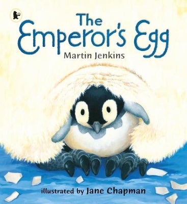 The Emperor's Egg by Martin Jenkins | Paper Plus
