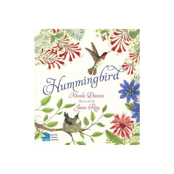 Hummingbird -