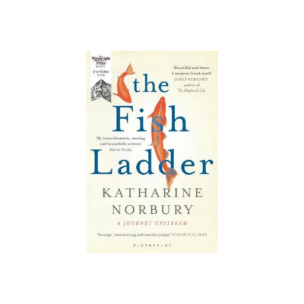 The Fish Ladder -
