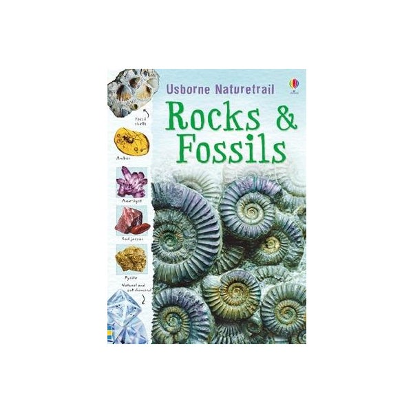 Rocks and Fossils -