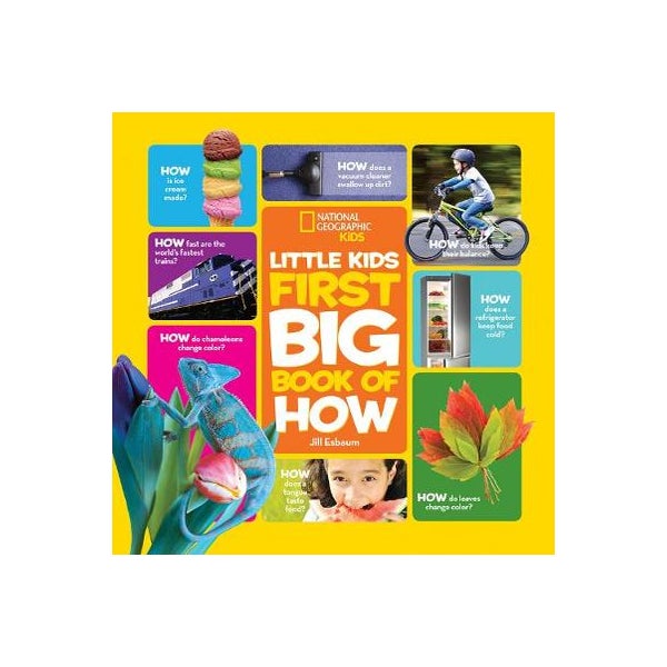 Little Kids First Big Book of How -