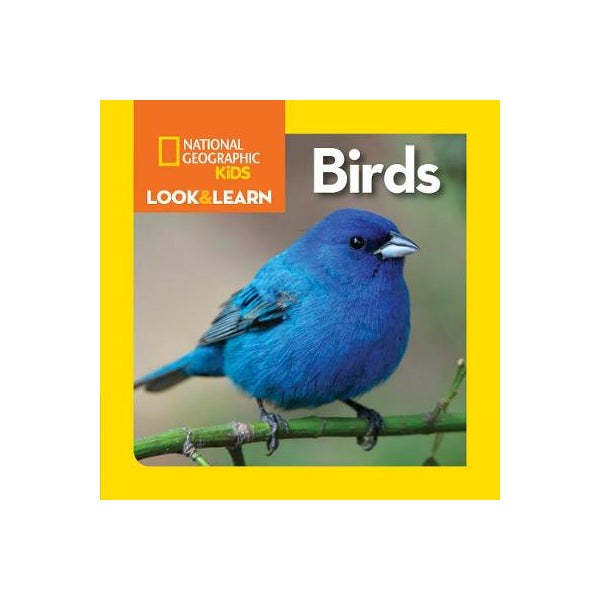 Look and Learn: Birds -