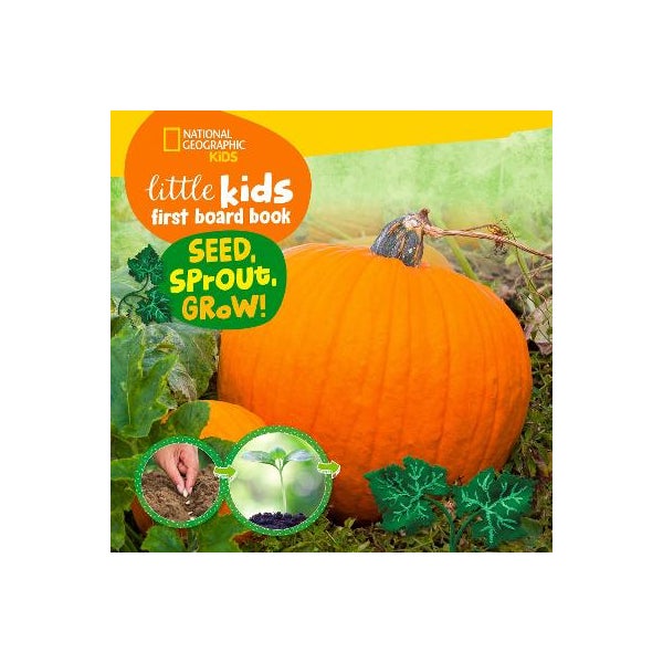 Little Kids First Board Book Seed, Sprout, Grow! -