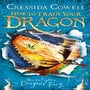 How to Train Your Dragon: How to Fight a Dragon's Fury -