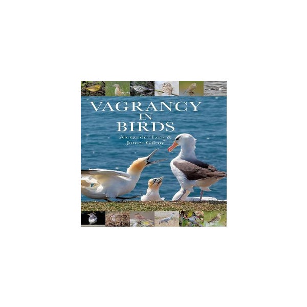 Vagrancy in Birds -
