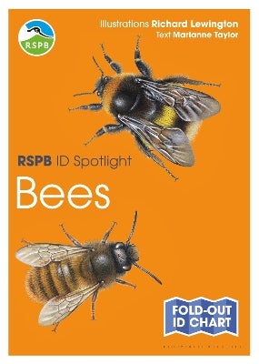 RSPB ID Spotlight - Bees by Marianne Taylor | Paper Plus