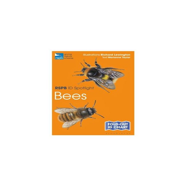 RSPB ID Spotlight - Bees -