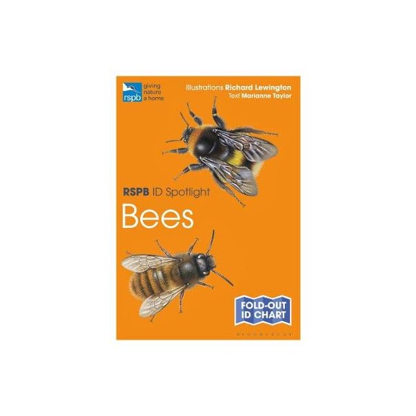 RSPB ID Spotlight - Bees -