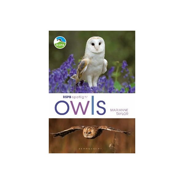 RSPB Spotlight Owls -