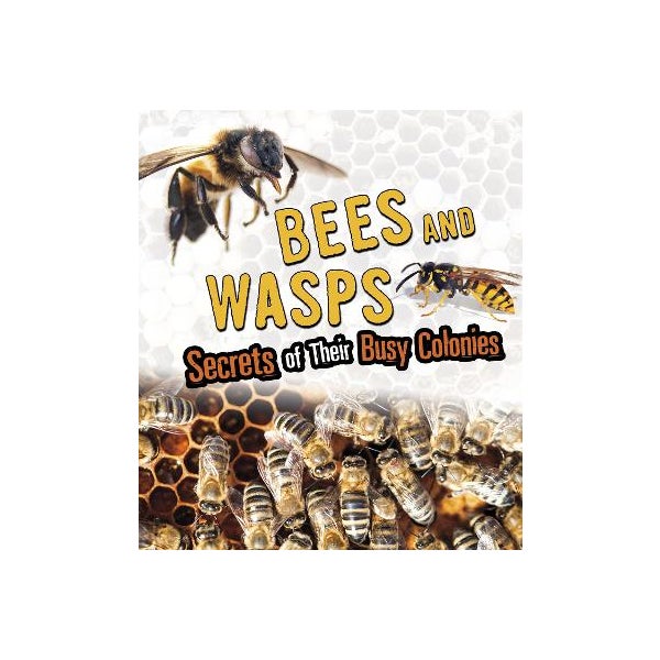 Bees and Wasps -