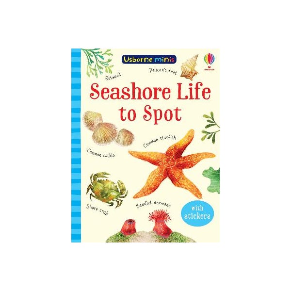 Seashore Life to Spot -