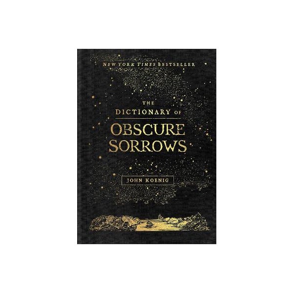 The Dictionary of Obscure Sorrows by John Koenig Paper Plus