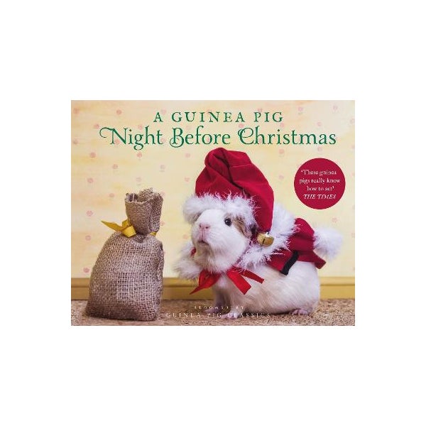 A Guinea Pig Night Before Christmas -